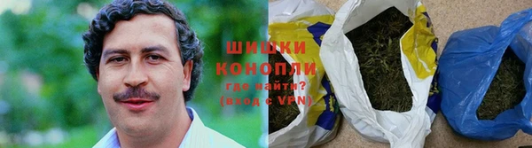 трава Белокуриха