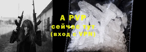 трава Белокуриха