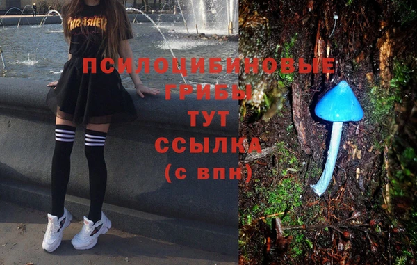 трава Белокуриха