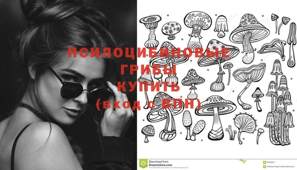 трава Белокуриха