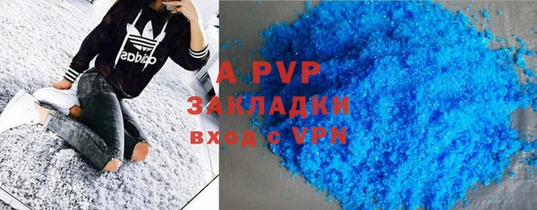 трава Белокуриха