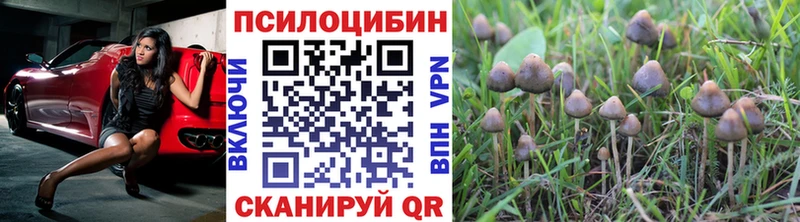 Купить  Людиново  Псилоцибиновые грибы ЛСД 